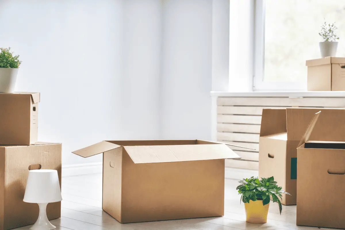 cardboard boxed on the countertop next to yellow flower pot