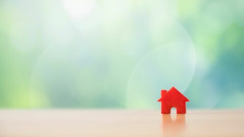 Introduction to Swedish Death Cleaning