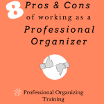 Pros and Cons of the Professional Organizing Business